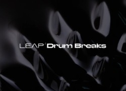 Native Instruments Leap Expansion - Drum Breaks